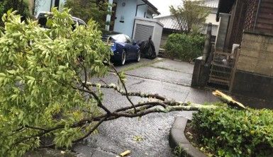 Haishen Tayfunu Japonya'da hayatı felç etti