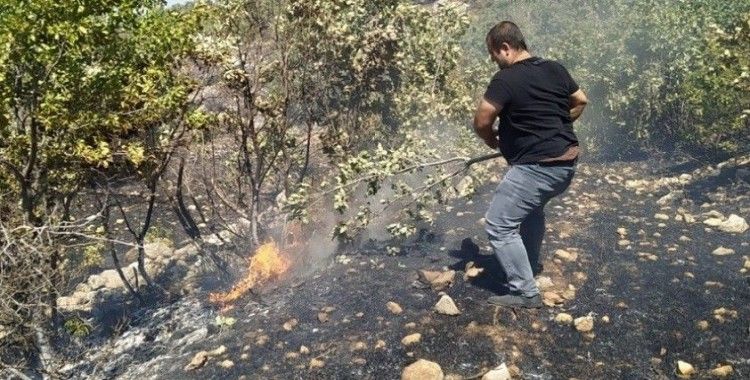 Gercüş'te ağaçlık alanda yangın: 100 dönümlük alan kül oldu