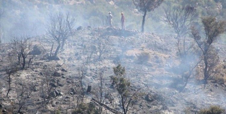 Antalya'da çıkan orman yangınında 5 hektar alan zarar gördü