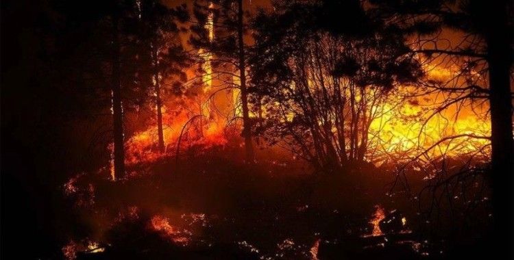 California'da kontrol altına alınamayan orman yangınları etkisini sürdürüyor