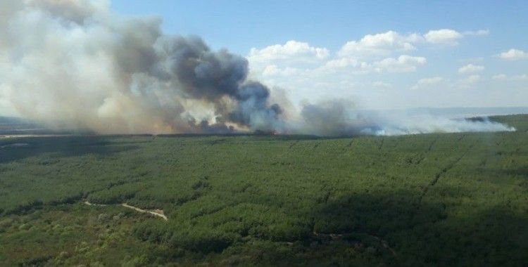 Gelibolu’da orman yangını