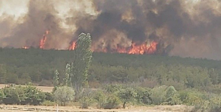 Tekirdağ'da orman yangını: Rüzgarın etkisiyle yangın Çanakkale'ye sıçradı