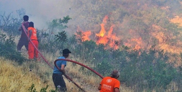 Kahramanmaraş'ta 10 hektar orman zarar gördü