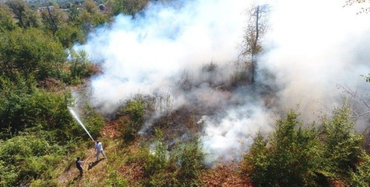 Sinop Erfelek'te orman yangını