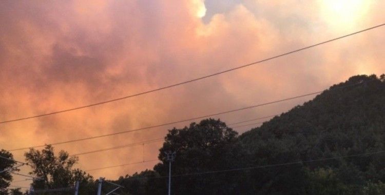 Adana'daki orman yangınına havadan müdahale yeniden başladı