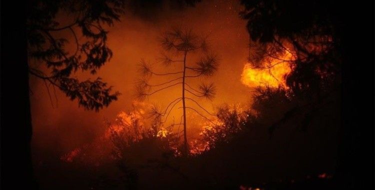 ABD'de California'nın ardından Oregon eyaletinde yangınlarla mücadele ediliyor