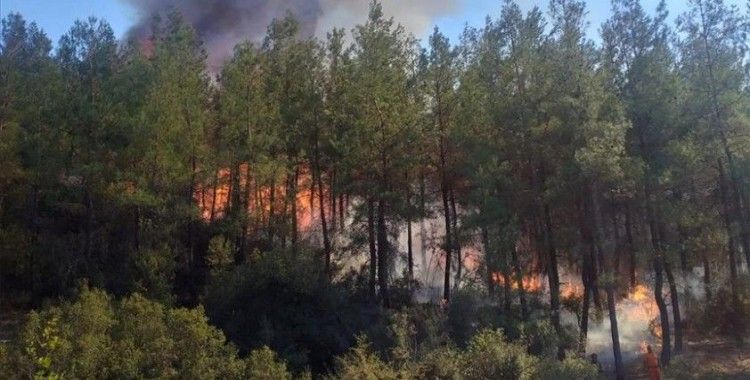 Muğla'da çıkan dördüncü orman yangını da kontrol altına alındı