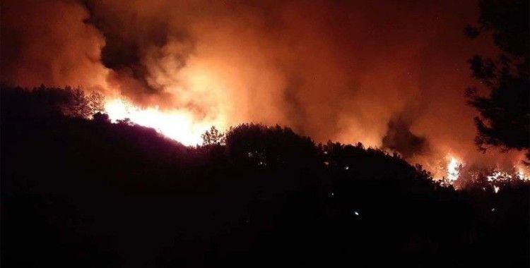 Antalya ve Adana'da çıkan orman yangınlarına müdahaleler devam ediyor
