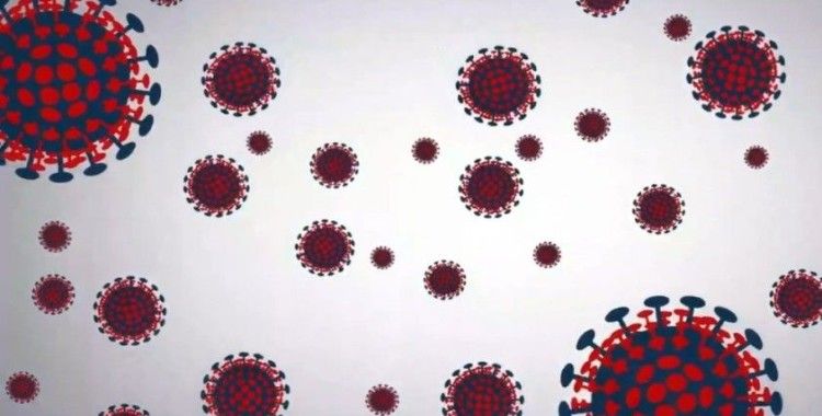 Dünya genelinde korona virüs vaka sayısı 28 milyonu aştı