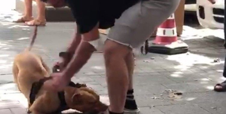 İstanbul’un göbeğinde pitbull dehşeti kamerada: “Köpeği vurun”