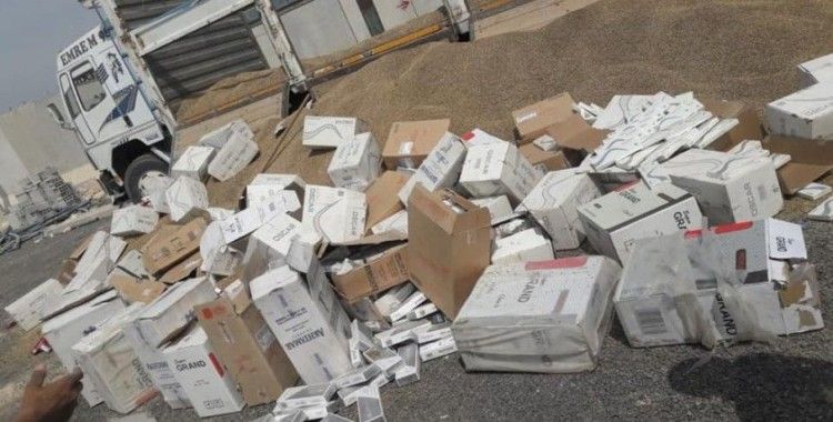 Ceylapınar’da 37 bin 500 paket kaçak sigara ele geçirildi