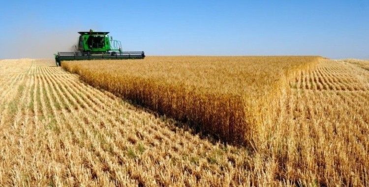 Tarım-ÜFE yıllık yüzde 17,36, aylık yüzde 0,22 arttı