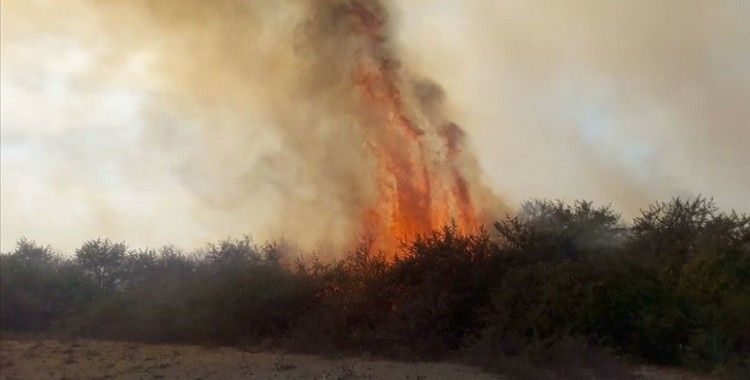 Kızılırmak Deltası Kuş Cenneti'nde yangın