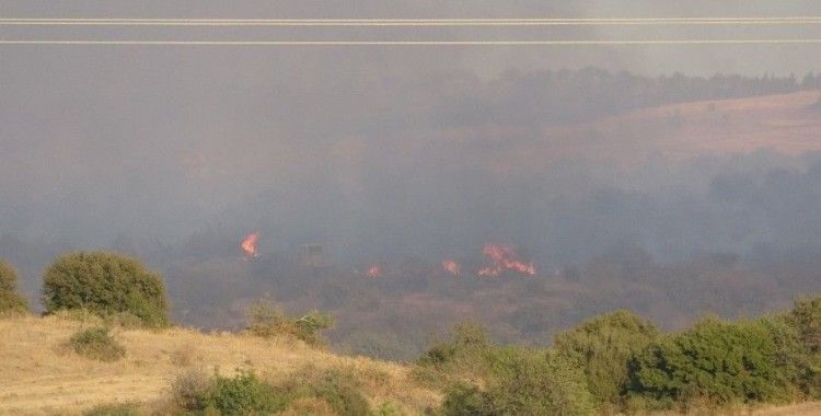 Kavakköy'deki orman yangını kontrol altına alındı