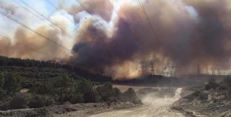 Gelibolu'daki yangın şiddetli rüzgarın etkisiyle büyüyor