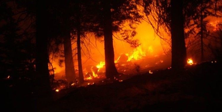 ABD'nin batı yakasındaki orman yangınlarında 34 kişi hayatını kaybetti