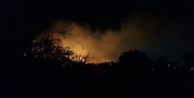 Ayvalık Beydağ'da orman yangını
