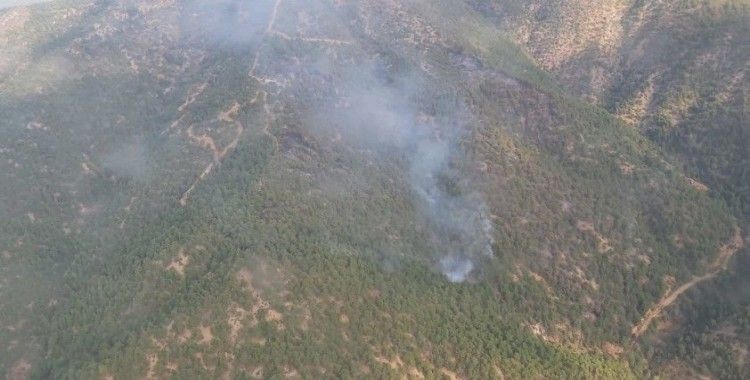 Eskişehir'de 70 hektar ormanlık alan kül oldu