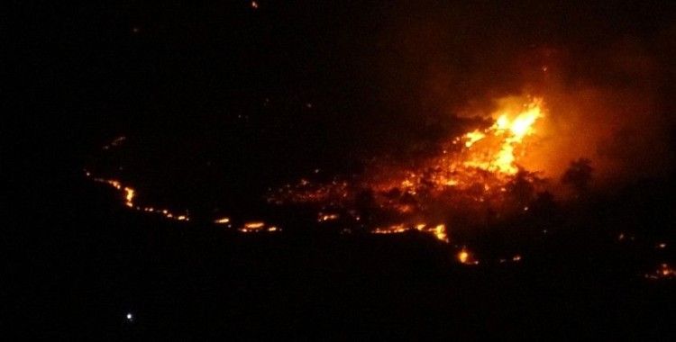 Elazığ’da orman yangını müdahale sürüyor
