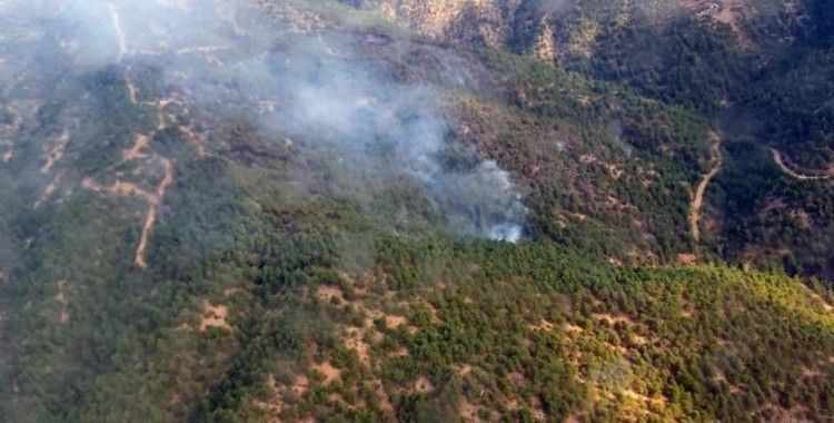 Yangının ardından Eskişehir Orman Bölge Müdürü Temel'den açıklama