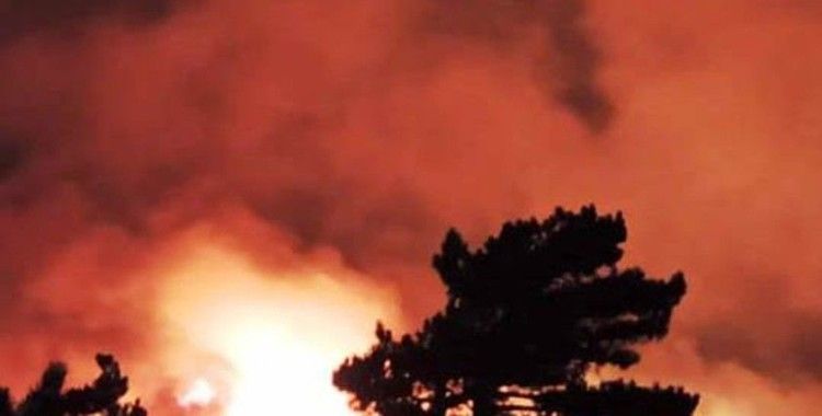 İzmir'de başlayan yangın Balıkesir'e dayandı