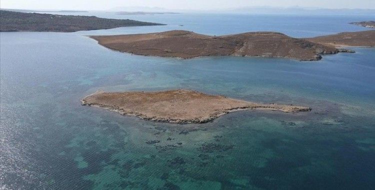 Taşlı Ada'nın 'kesin korunacak hassas alan' ilan edilmesi memnuniyetle karşılandı