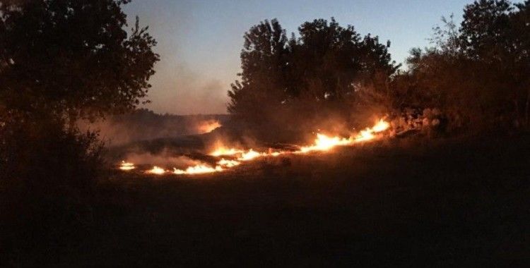 Tarsus'ta çıkan yangın ormana sıçramadan söndürüldü