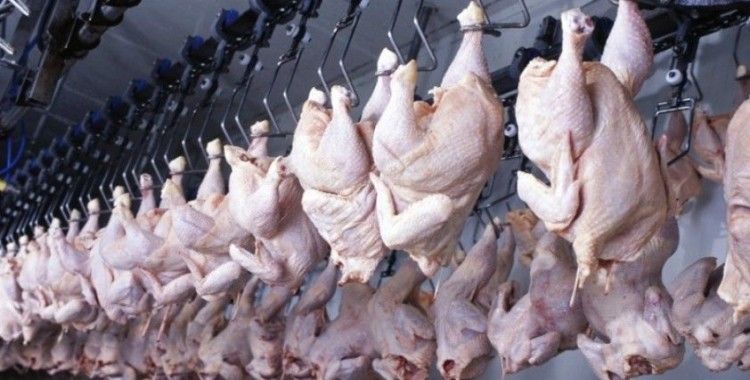 Tavuk eti üretimi Ağustos'ta azaldı