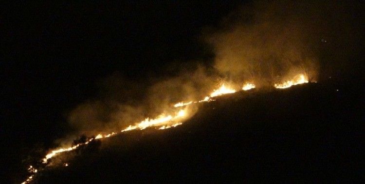 Trabzon'un Akyazı mahallesinde örtü yangını