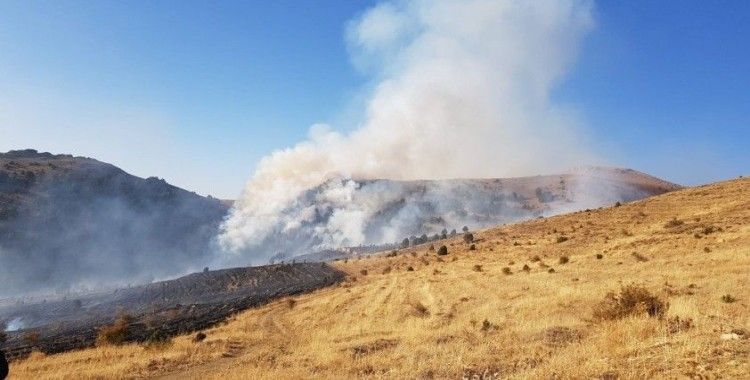 Sarız'da ormanlık alanda yangın çıktı