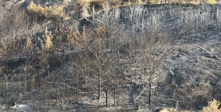 Hatay'daki orman yangınında soğutma çalışmaları tamamlandı