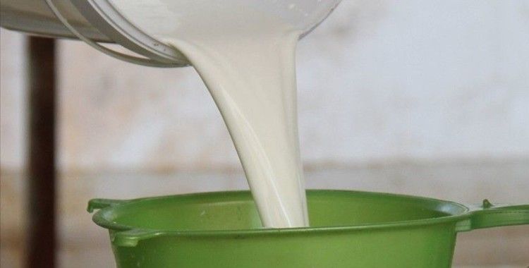 CHP'li Akın: Çiğ sütün referans fiyatı en az 3 lira olmalı
