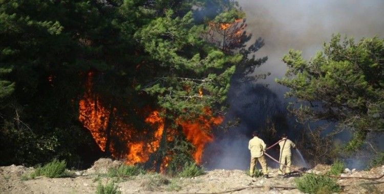 Hatay'daki orman yangınlarıyla ilgili gözaltına alınan 2 şüpheli tutuklandı