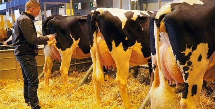 Fransa’nın en büyük fuarlarından 'Tarım ve Hayvancılık Fuarı' iptal edildi