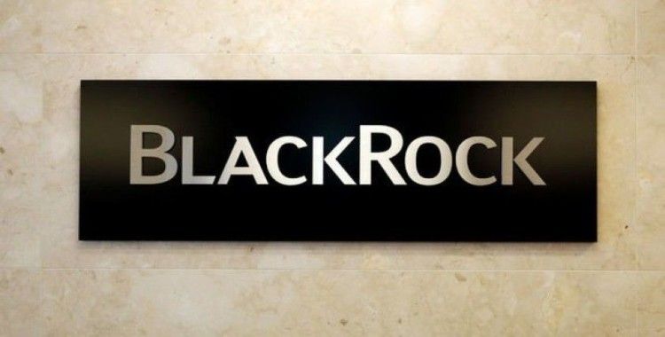 BlackRock: Yatırımcılar düşük faiz ortamında riskini artırıyor