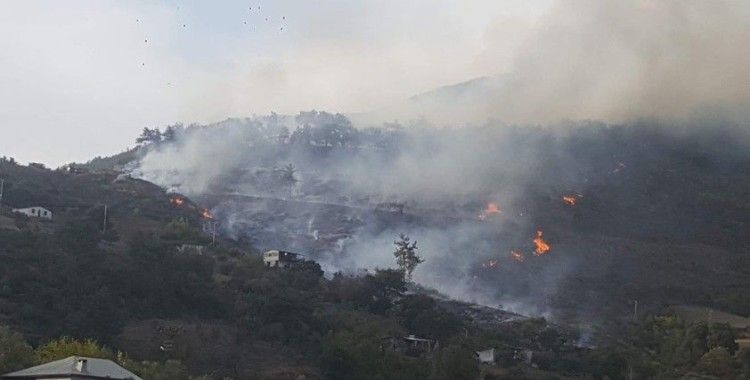 Adana'daki orman yangınına müdahale sürüyor