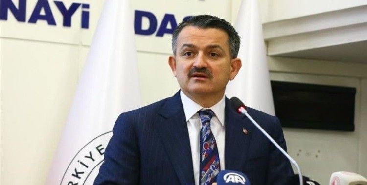 Bakan Pakdemirli: İzmir'de kimse siyaset yapmadı