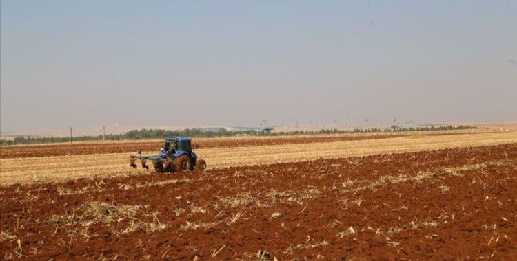 'GAP'ın başkenti'nde geç gelen yağışlar tahıl ekim çalışmalarını hızlandırdı