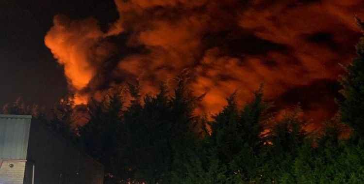 İngiltere’de yangın nedeniyle okullar kapandı, ulaşım aksadı