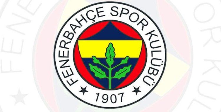 Fenerbahçe, finansal raporların denetlenmesini genel kurula sundu