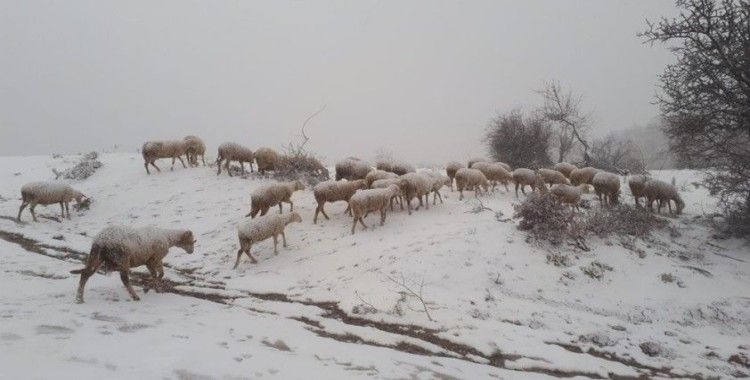 Manisa’da mevsimin ilk karı yağdı