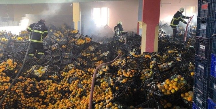  Depodaki yangında 10 ton mandalina zarar gördü