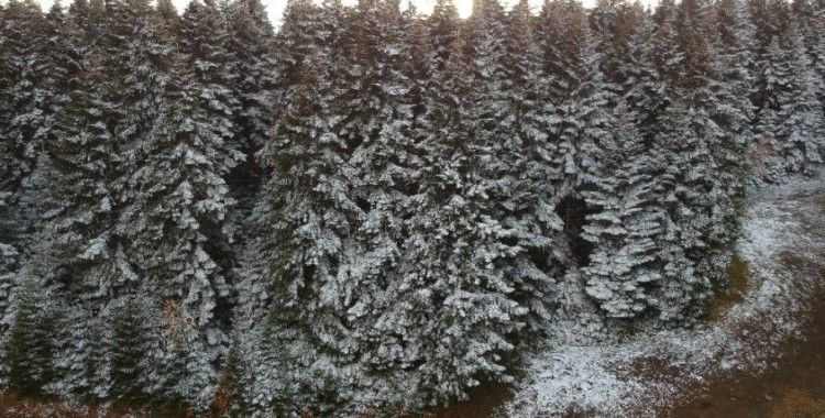 Sinop’a yılın ilk karı düştü, kartpostallık görüntüler ortaya çıktı