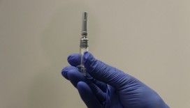 İngiltere'de koronavirüs aşısının dağıtımından sorumlu bakan atandı