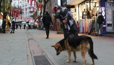 Mazgal köpek caddenin demirbaşı oldu