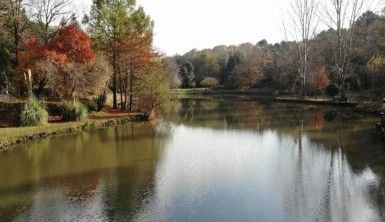 Atatürk Arboretumu'nda sonbahar manzarası