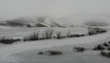 Kars'ın soğuğu baraj dondurdu