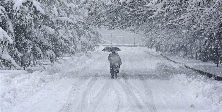 Japonya'da yoğun kar yağışı nedeniyle ölü sayısı 29'a çıktı