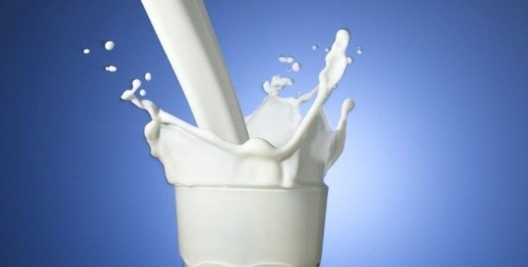  İnek sütü miktarı yüzde 1,2 arttı