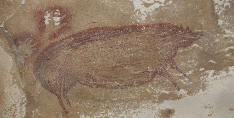 Endonezya'da dünyanın en eski mağara çizimi keşfedildi